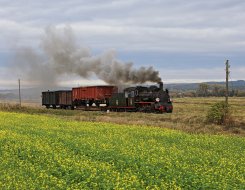 Kösliner Kleinbahn